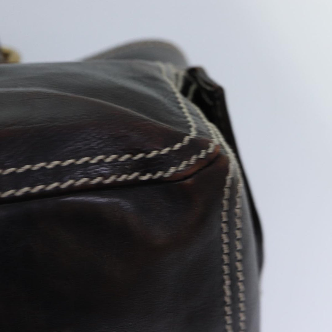 Celine Hand Bag Leather Brown Gold Auth 89146