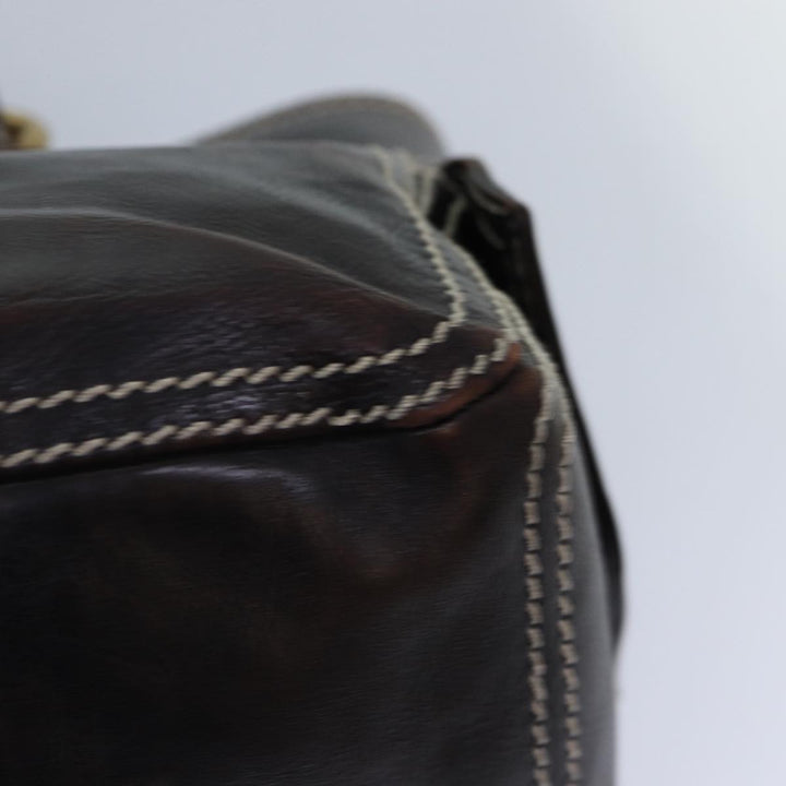 Celine Hand Bag Leather Brown Gold Auth 89146