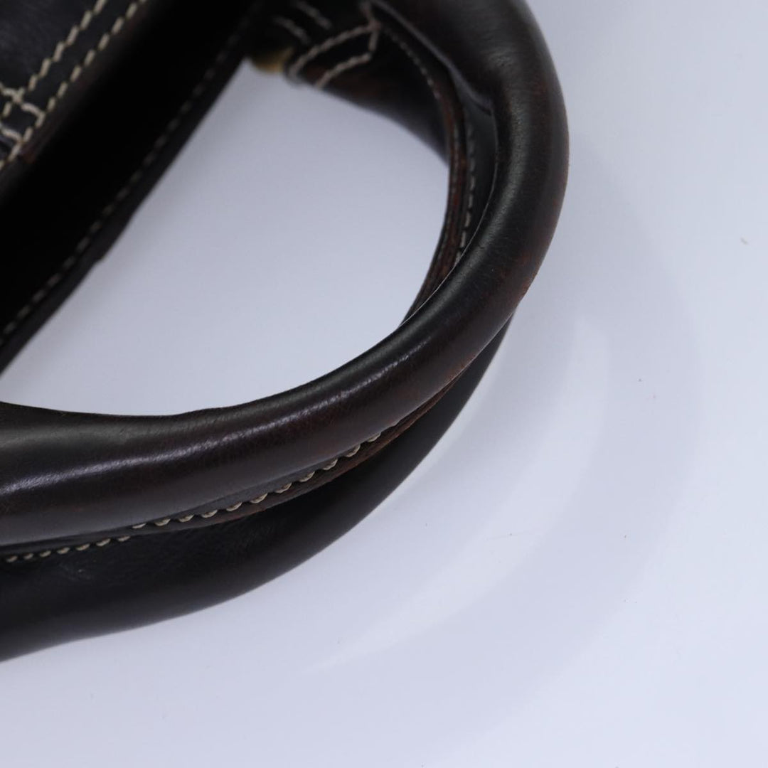 Celine Hand Bag Leather Brown Gold Auth 89146
