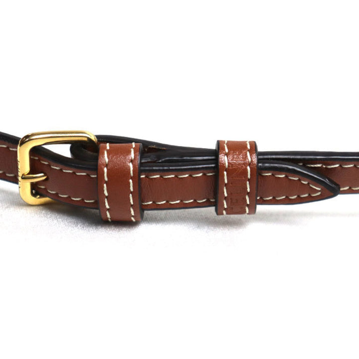 Celine Triomphe Shoulder Bag