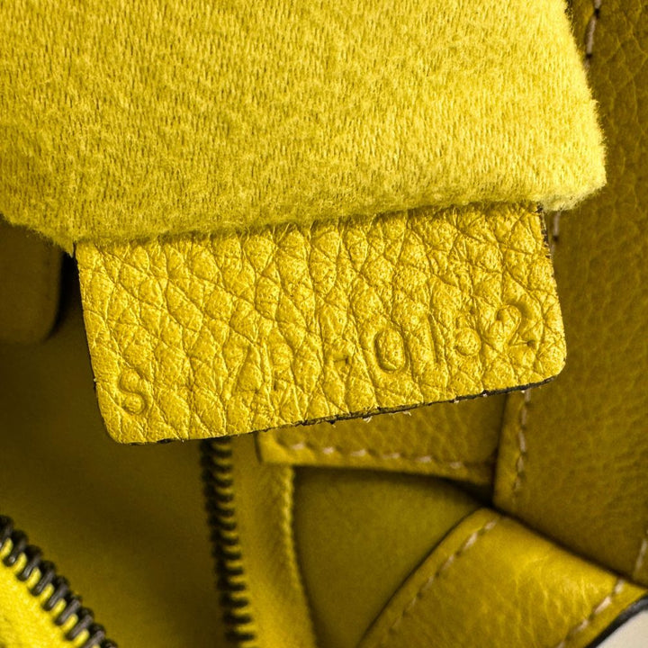 Celine Luggage Handbag