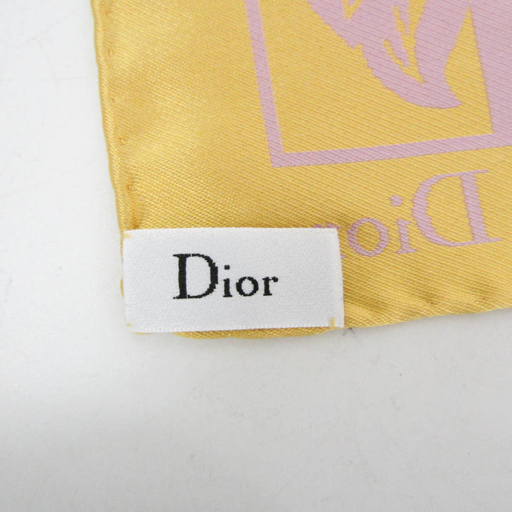 Top quality Dior Scarves