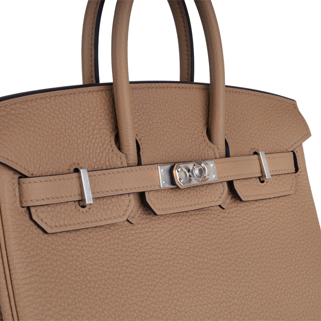 Birkin 25 - Chai Clemence