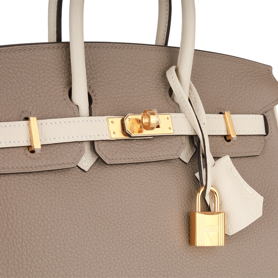 Birkin 25 - Togo