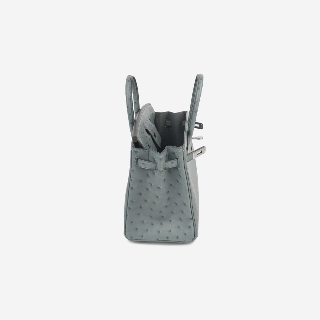Birkin 25 - Vert Amande Ostrich