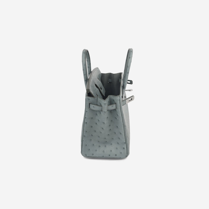 Birkin 25 - Vert Amande Ostrich