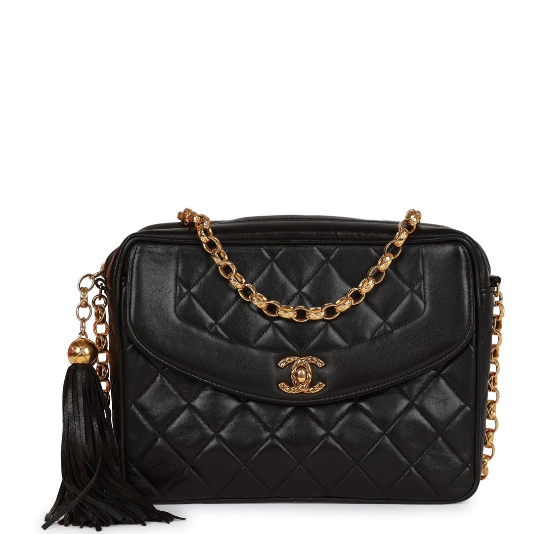 Vintage Top Quality Chanel Small Diana Fringe Camera Bag Black Lambskin Gold Hardware