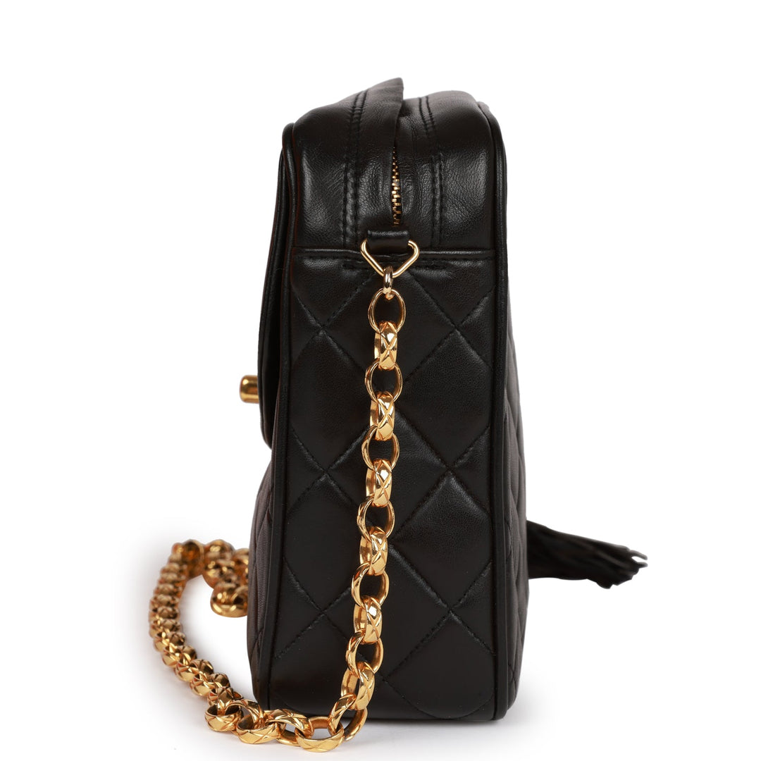 Vintage Top Quality Chanel Small Diana Fringe Camera Bag Black Lambskin Gold Hardware