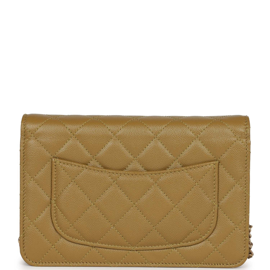 Top Quality Chanel Wallet on Chain WOC Olive Green Caviar Light Gold Hardware