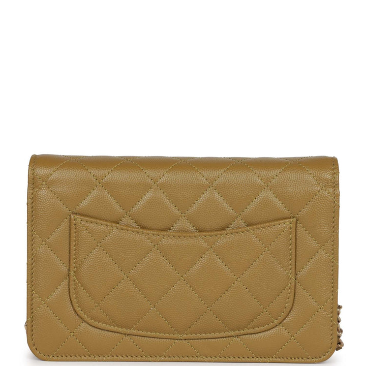 Top Quality Chanel Wallet on Chain WOC Olive Green Caviar Light Gold Hardware