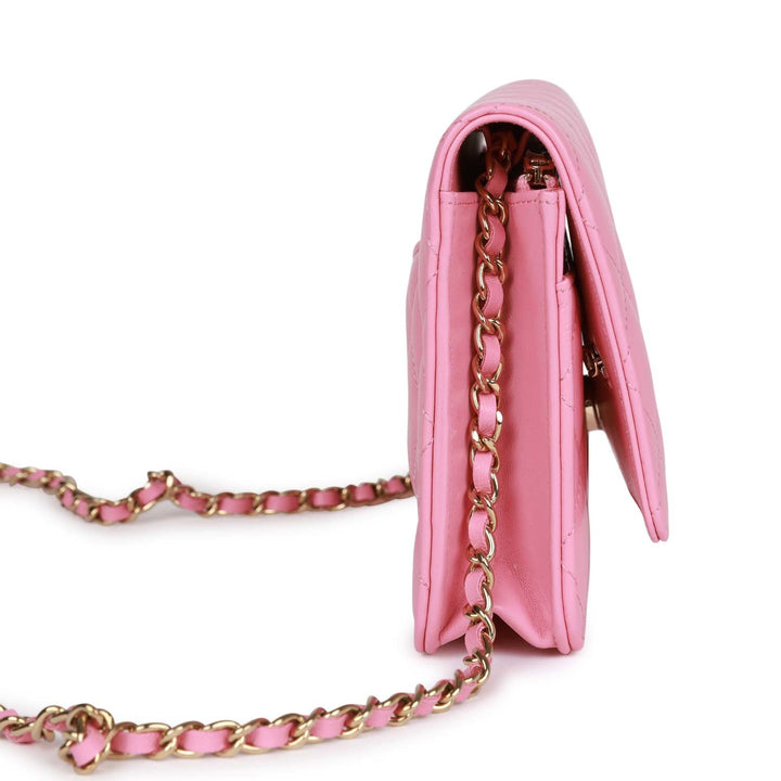 Top Quality Chanel Wallet On Chain WOC Pink Lambskin Gold Hardware