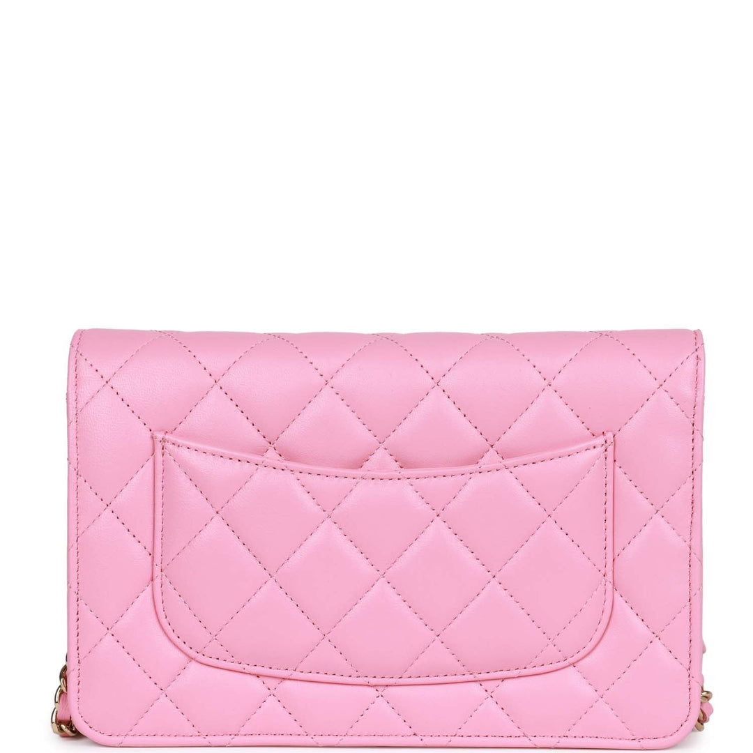 Top Quality Chanel Wallet On Chain WOC Pink Lambskin Gold Hardware