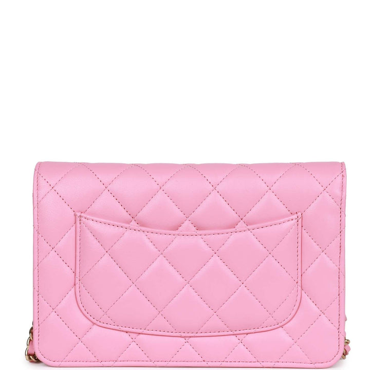 Top Quality Chanel Wallet On Chain WOC Pink Lambskin Gold Hardware
