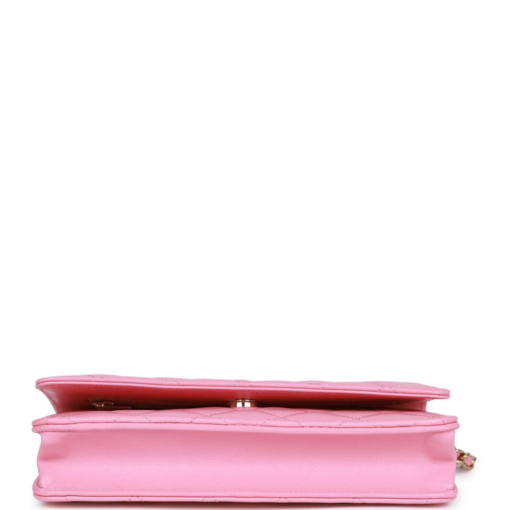 Top Quality Chanel Wallet On Chain WOC Pink Lambskin Gold Hardware