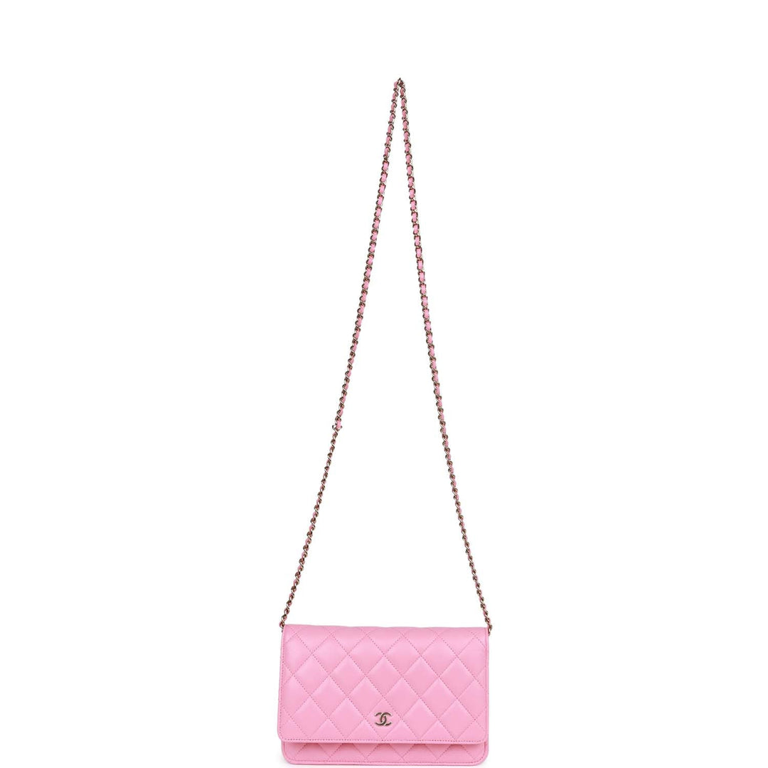 Top Quality Chanel Wallet On Chain WOC Pink Lambskin Gold Hardware