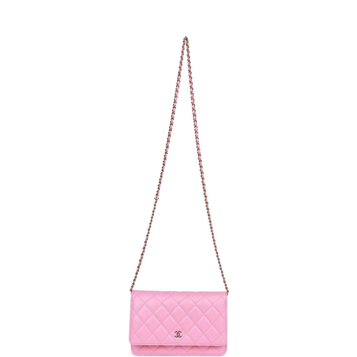 Top Quality Chanel Wallet On Chain WOC Pink Lambskin Gold Hardware