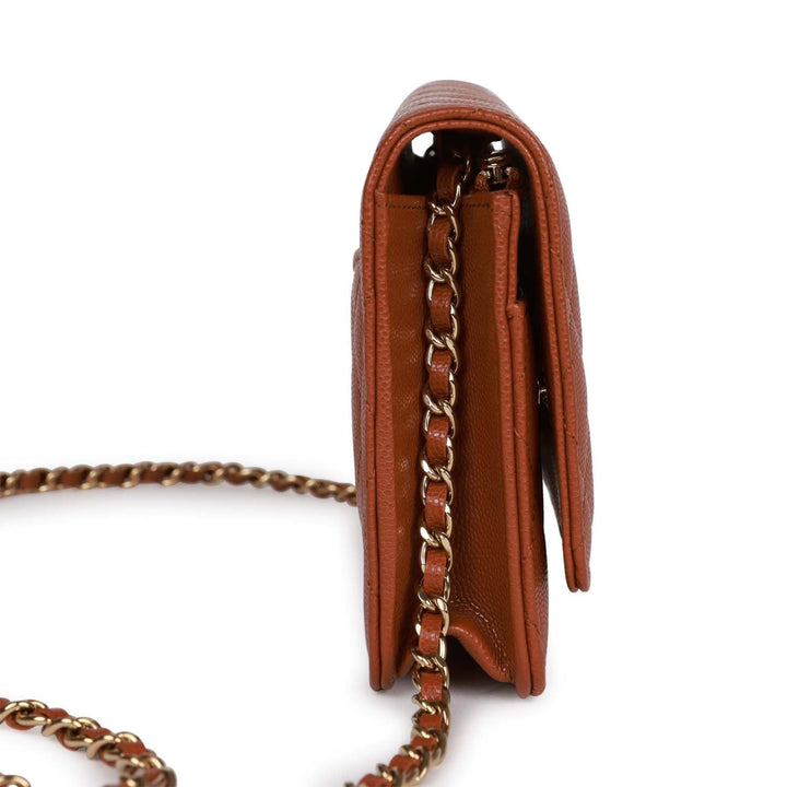 Top Quality Chanel Wallet on Chain WOC Brown Caviar Gold Hardware