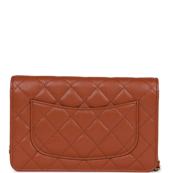 Top Quality Chanel Wallet on Chain WOC Brown Caviar Gold Hardware