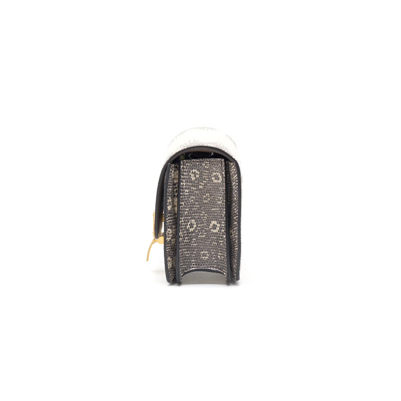 Top Quality Celine Small Classic Bag in Lizard