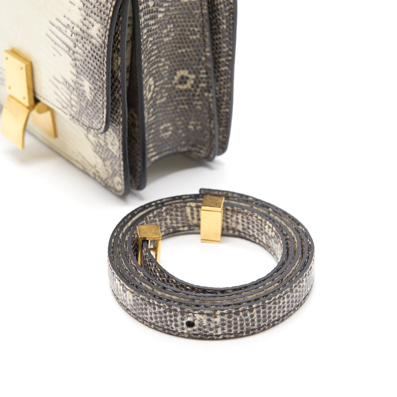 Top Quality Celine Small Classic Bag in Lizard