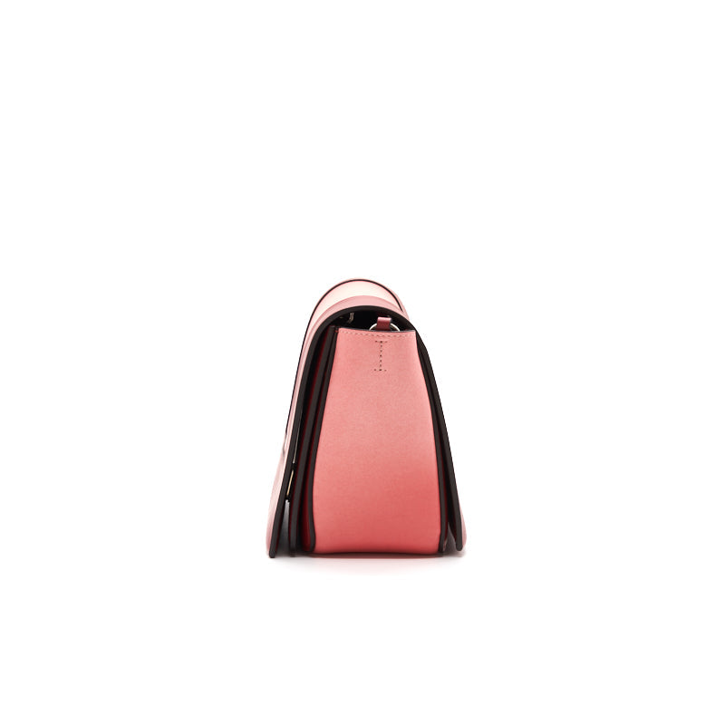 Celine Calfskin Medium Frame Shoulder Bag