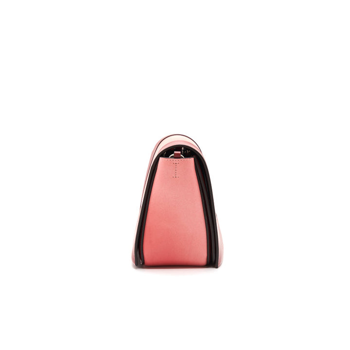 Celine Calfskin Medium Frame Shoulder Bag