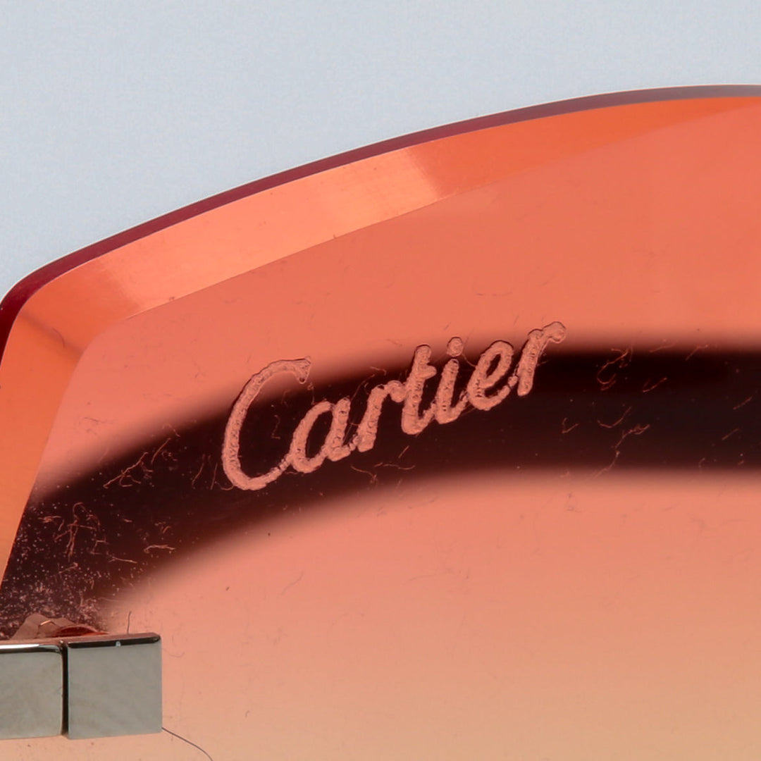 CARTIER C de Cartier White Buffalo Sunglasses