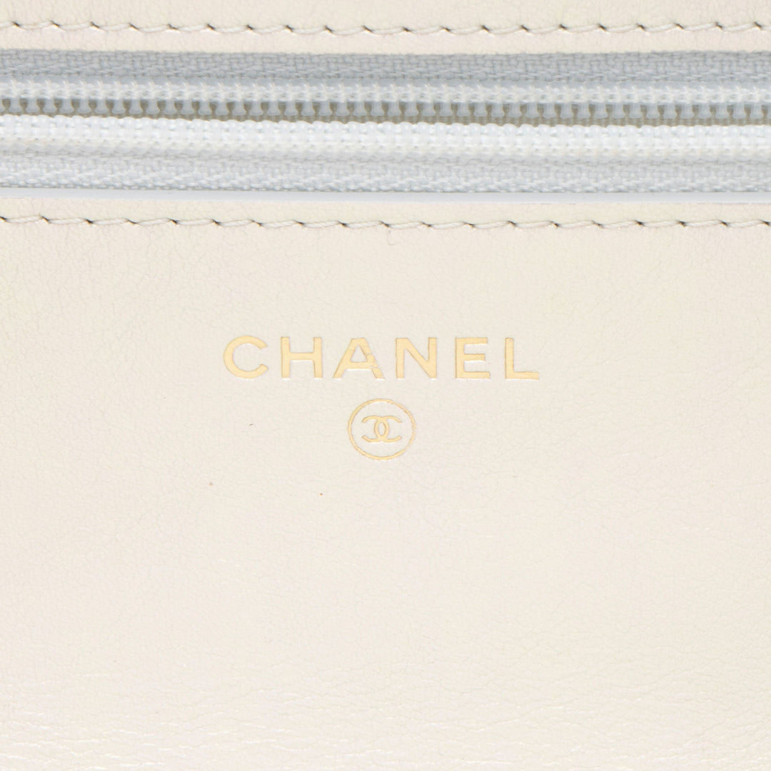 Top Quality Chanel Iridescent Lambskin 19 Wallet on Chain (SHF-Q3iEEa)