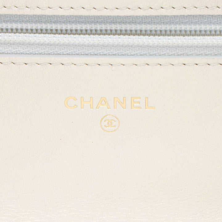 Top Quality Chanel Iridescent Lambskin 19 Wallet on Chain (SHF-Q3iEEa)