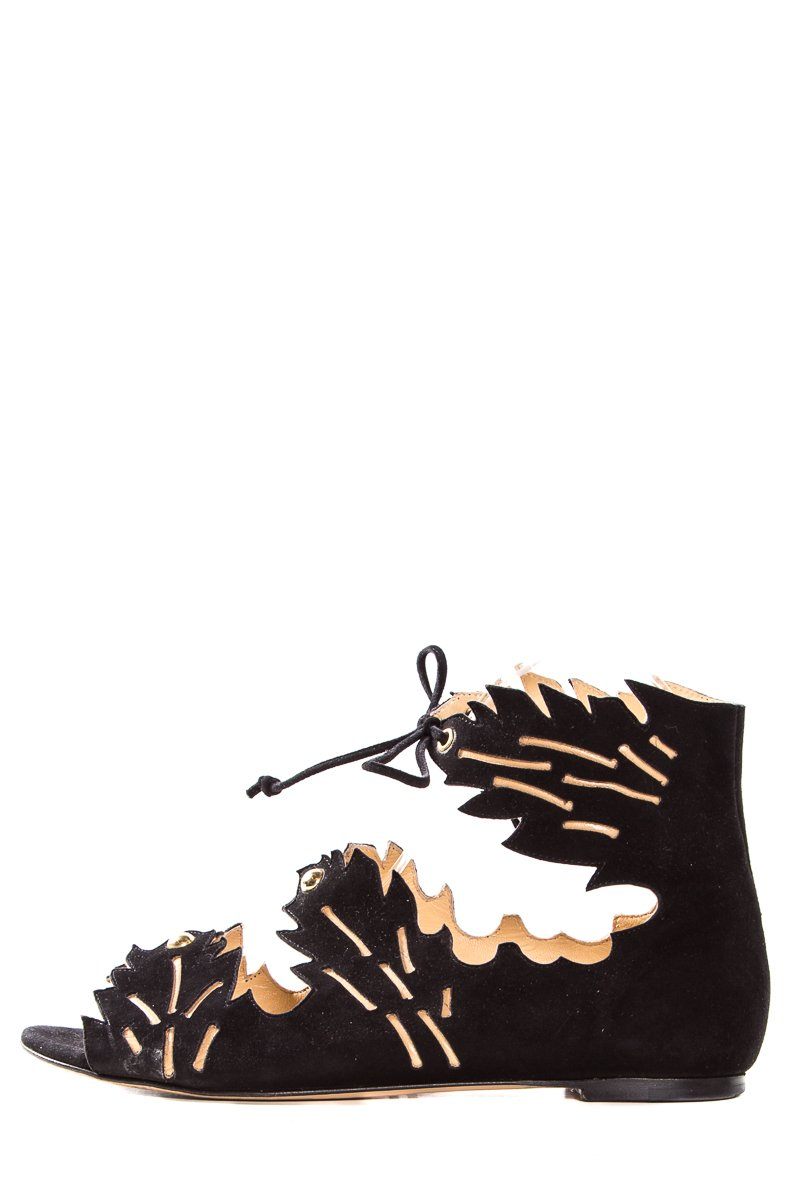 Charlotte Olympia Black Suede Eden Sandals SZ 35 Sale