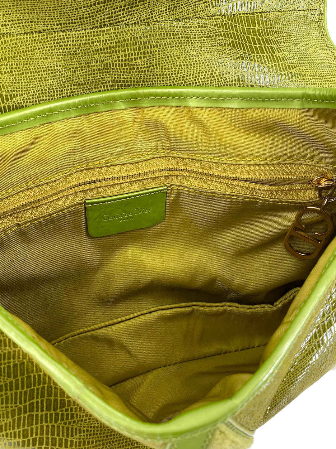 Christian Top quality Dior Shiny Lizard Double Saddle Bag Green