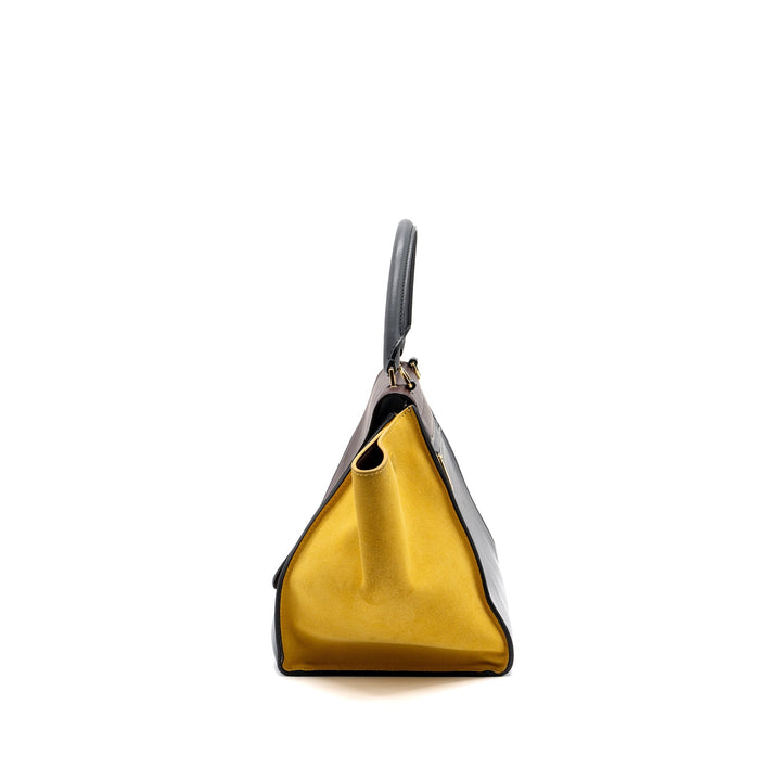 Top Quality Celine Trapeze Bag Multicoloured