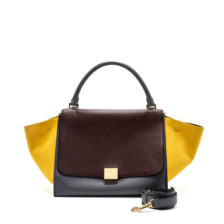 Top Quality Celine Trapeze Bag Multicoloured