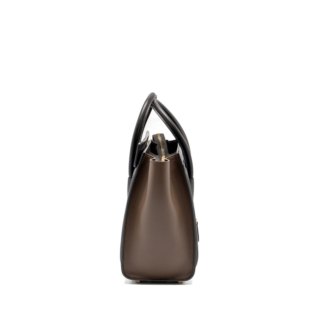 Celine Micro Luggage Bag Calfskin Multicolour
