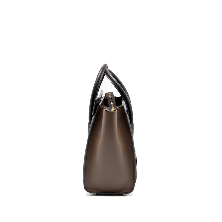 Celine Micro Luggage Bag Calfskin Multicolour