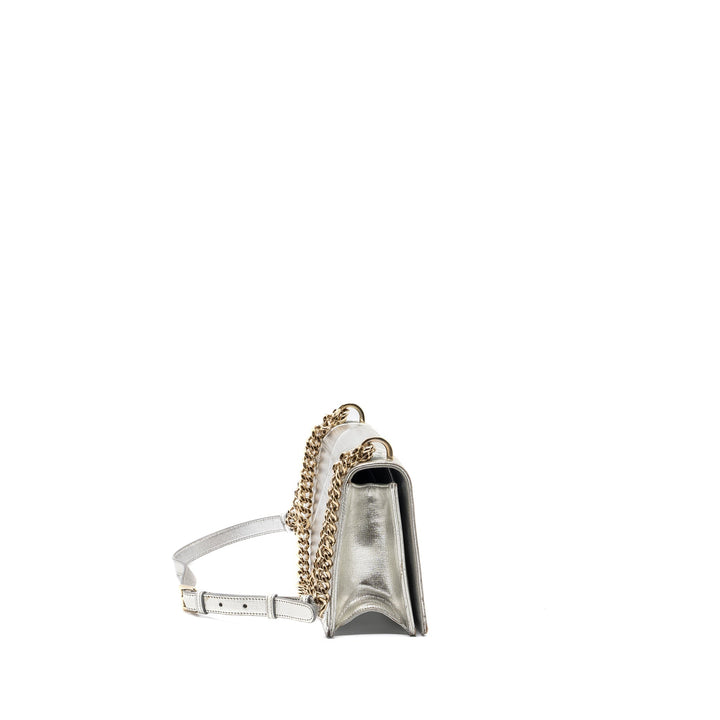 Dior Diorama Bag Goatskin Metallic Silver
