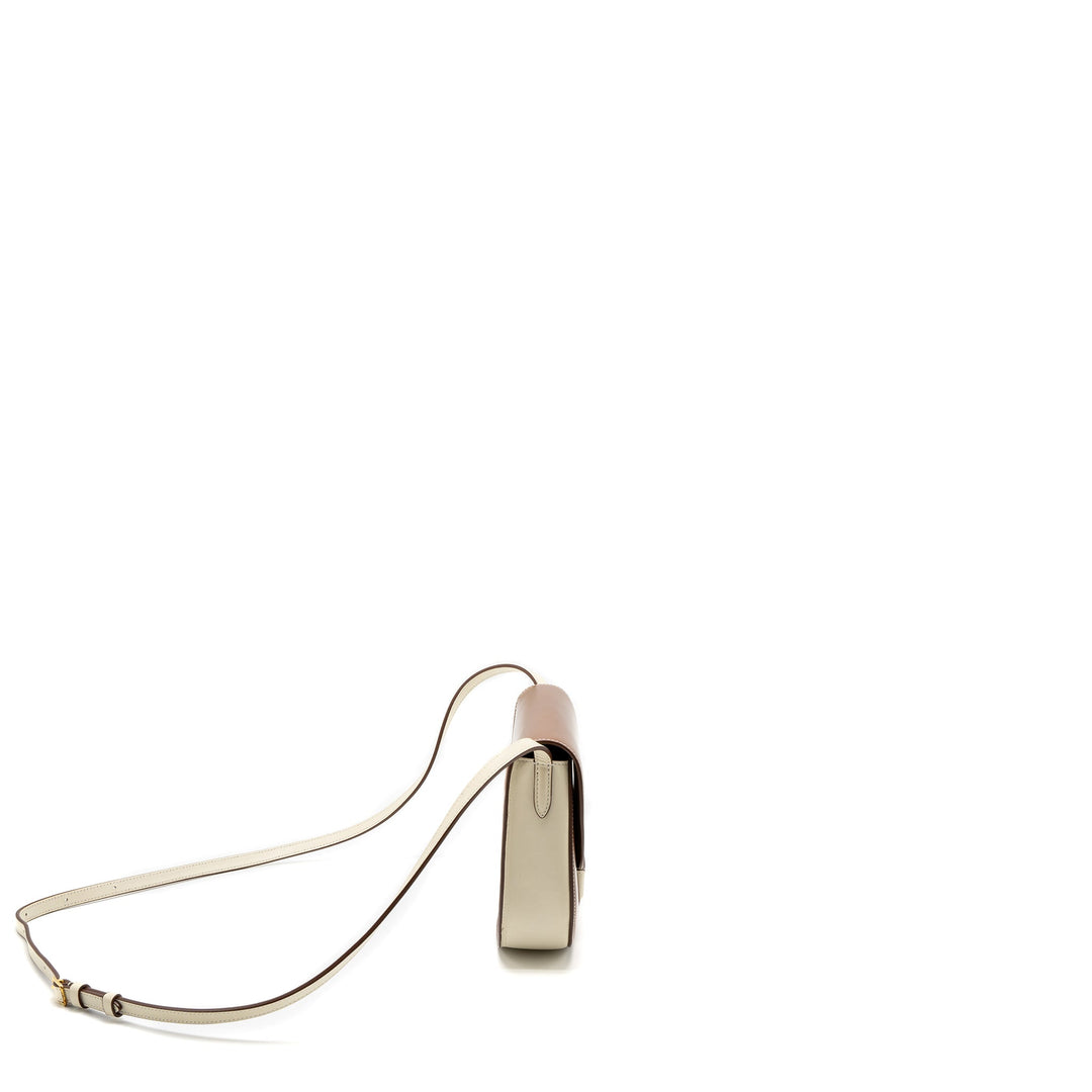 Top Quality Celine Small Trotteur Bag Calfskin Brown/Multicolour