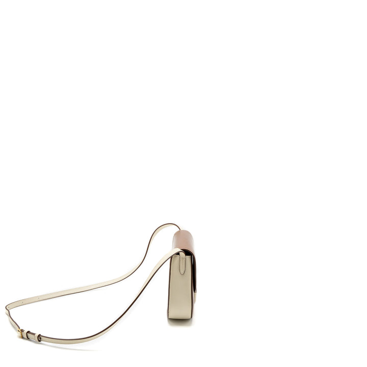 Top Quality Celine Small Trotteur Bag Calfskin Brown/Multicolour