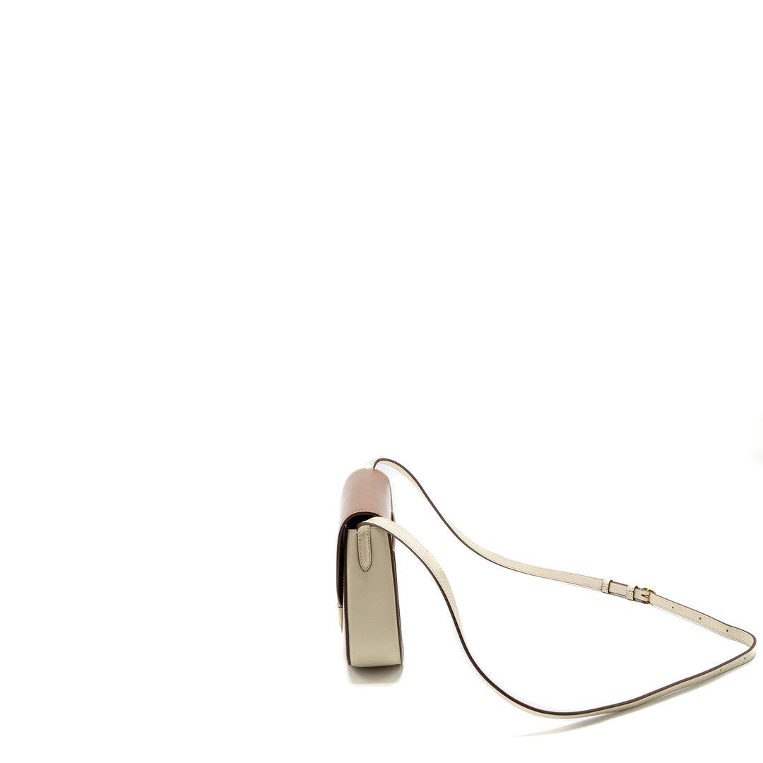 Top Quality Celine Small Trotteur Bag Calfskin Brown/Multicolour