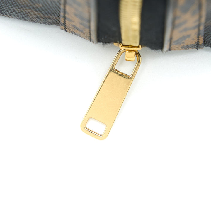 Celine Clutch With Chain Triomphe Canvas Limited Edge Print