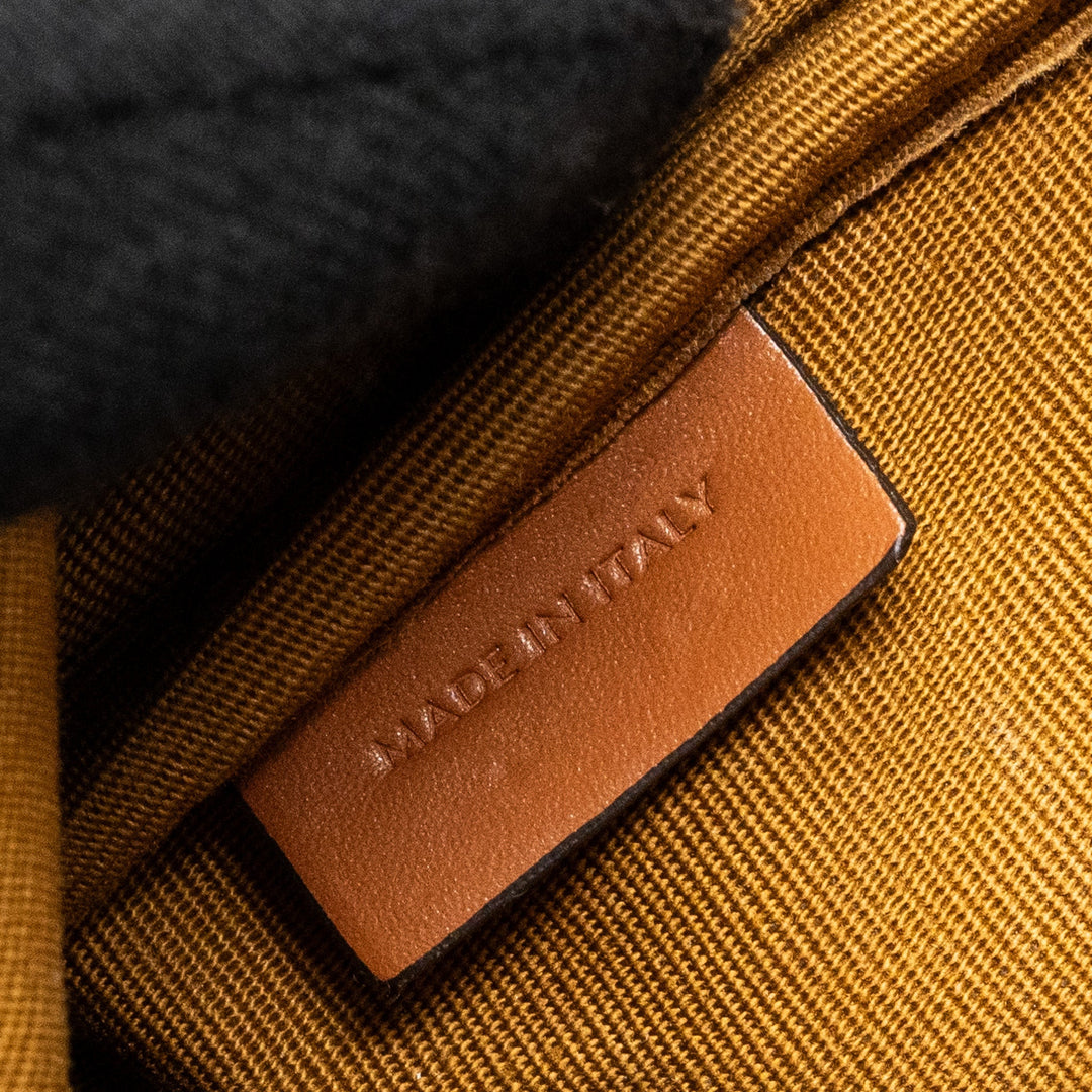 Celine Mini Backpack Folco Triomphe Canvas Calfskin TAN