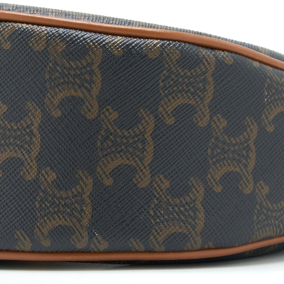 Celine Ava Bag in Triomphe Canvas/Calfskin Tan