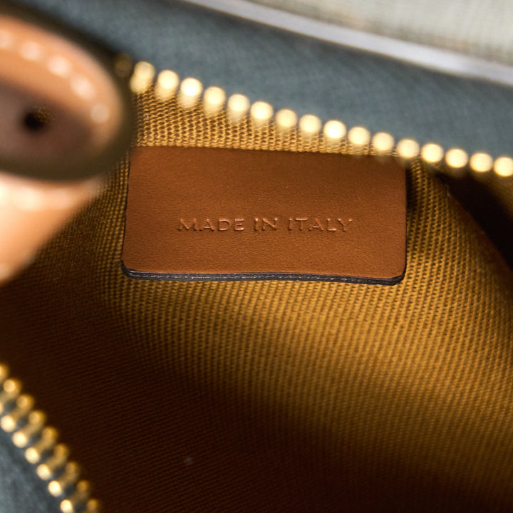 Celine Ava Bag in Triomphe Canvas/Calfskin Tan