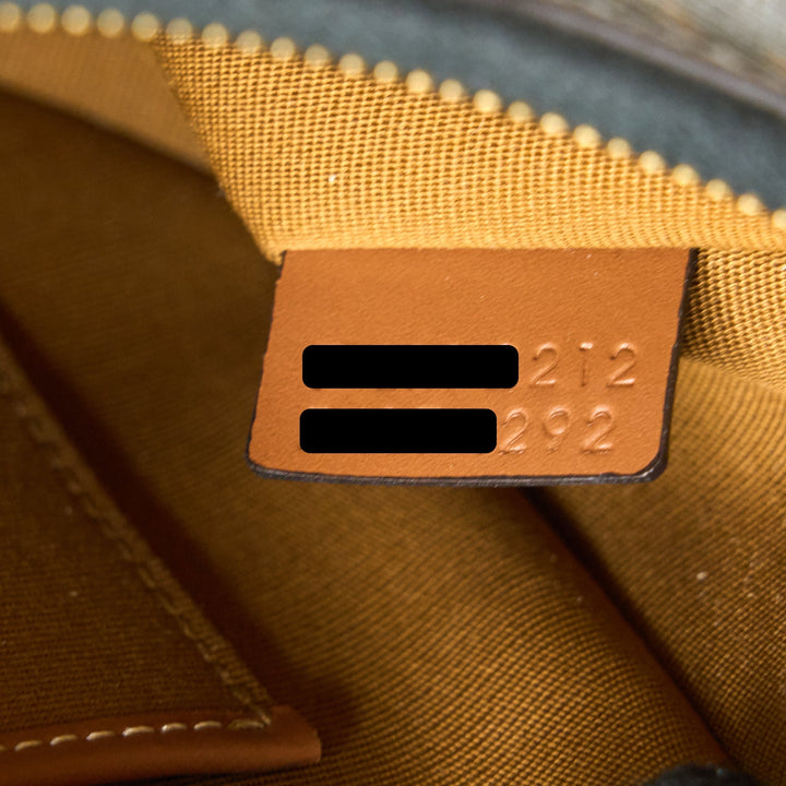 Top Quality Celine Ava Bag in Triomphe Canvas/Calfskin Tan