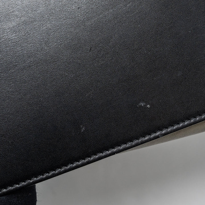 Celine micro luggage calfskin / suede leather multicolour