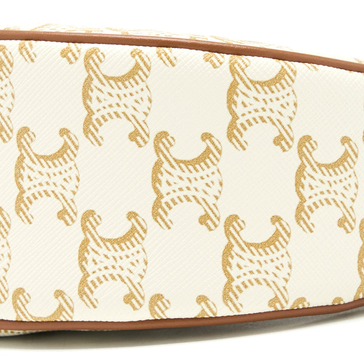 Celine Ava Bag in Triomphe Canvas/Calfskin White