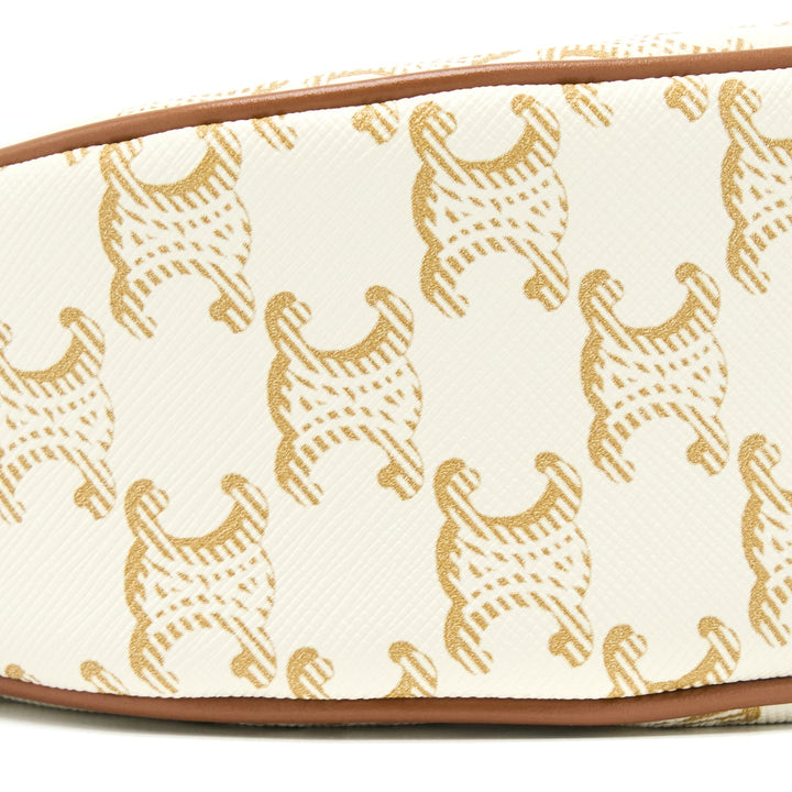 Celine Ava Bag in Triomphe Canvas/Calfskin White
