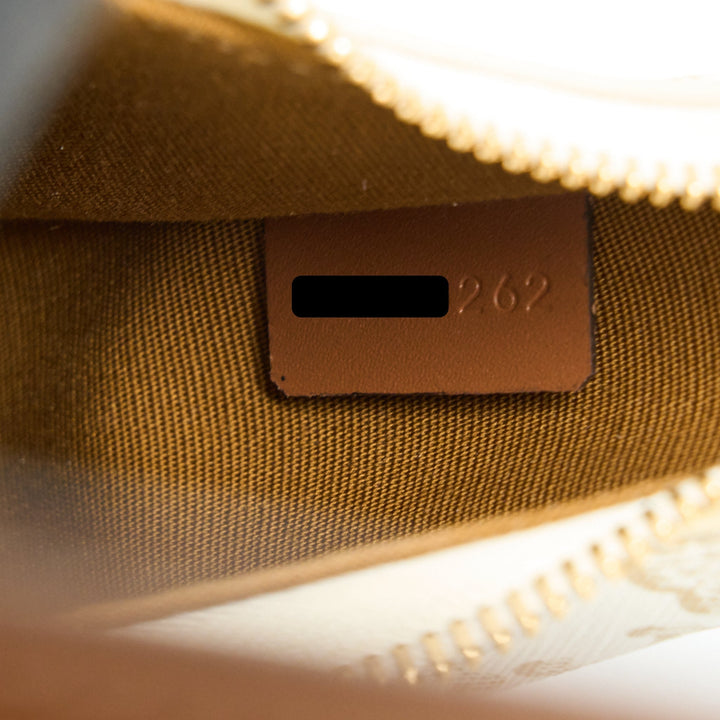Celine Ava Bag in Triomphe Canvas/Calfskin White