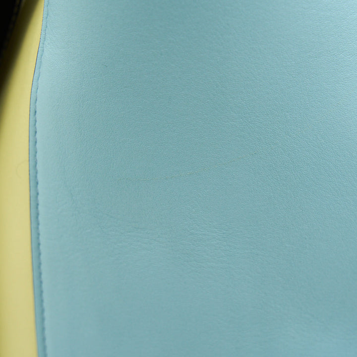 Top Quality Celine Small Twisted Cabas Tote Pool/ Bergamote