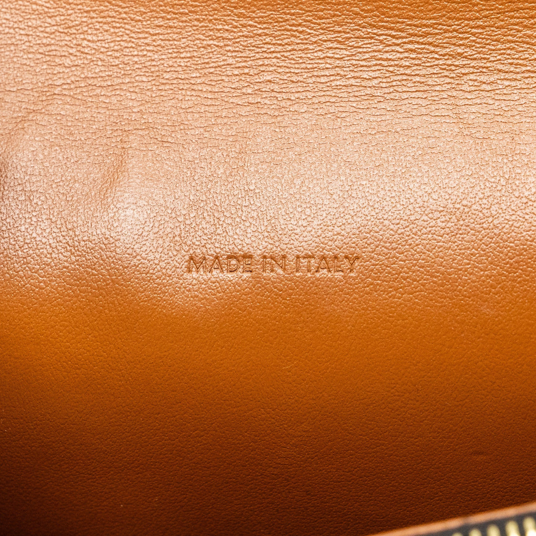 Top Quality Celine wallet on strap triomphe canvas / lambskin tan